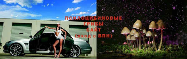 тгк Наволоки