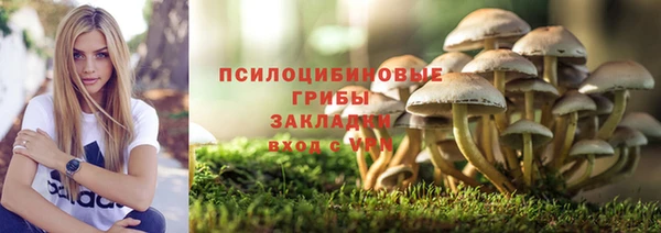 ALPHA PVP Надым