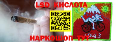 индика Канаш