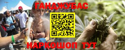 гашик Камышлов
