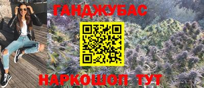 гашик Камышлов
