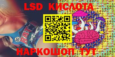 гашик Камышлов