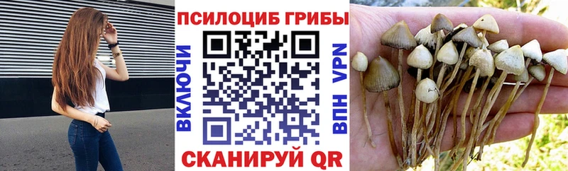 купить наркотик  Печора  Галлюциногенные грибы ЛСД 
