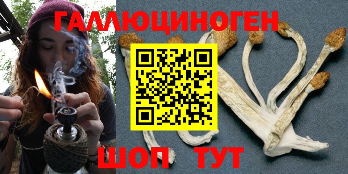 Галлюциногенные грибы ЛСД Печора